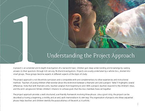 Picturing The Project Approach: Creative Explorations In Early Learning,Used