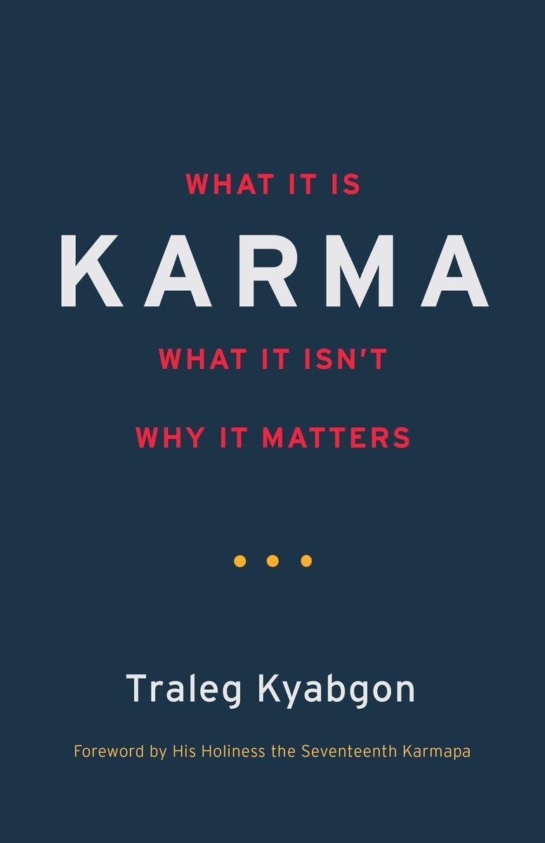 Karma: What It Is, What It Isn't, Why It Matters,Used