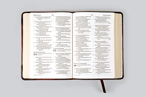 ESV Large Print Compact Bible (TruTone, Teal, Bouquet Design),Used
