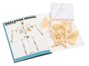Exploration Station: The Human Body,Used
