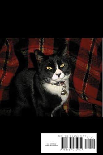 Clairvoyant Cat Poems,Used
