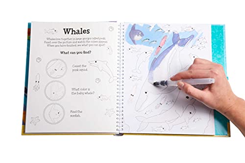 Magical Water Painting: Under the Sea: (Art Activity Book, Books for Family Travel, Kids' Coloring Books, Magic Color and Fade) ,Used