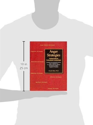 Anger Strategies: Practical Tools For Professionals Treating Anger-used