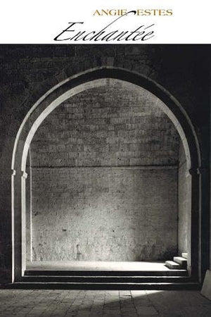 American Alphabets: 25 Contemporary Poets (Field Editions),New