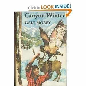 Canyon Winter,New