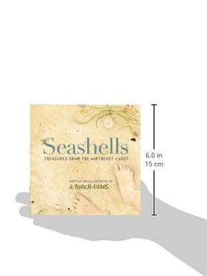 Seashells: Treasures From The Northeast Coast,Used