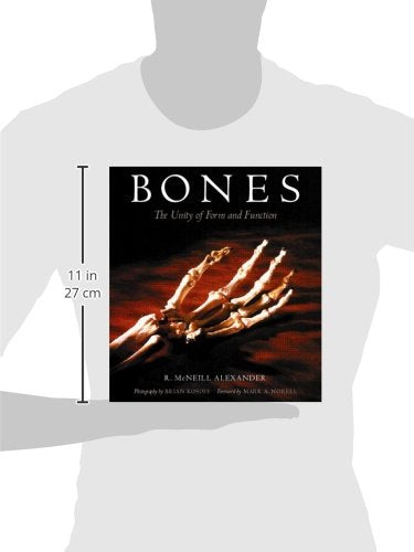 Bones: The Unity Of Form And Function,Used
