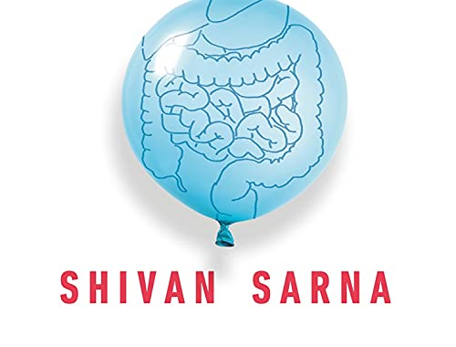 Healing Sibo: Fix The Real Cause Of Ibs, Bloating, And Weight Issues In 21 Days,Used