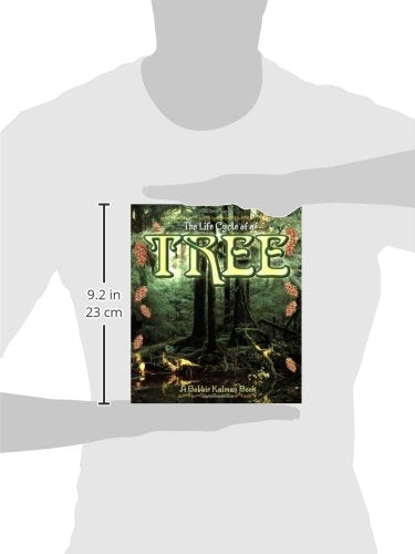 The Life Cycle of a Tree,Used