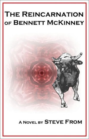 The Reincarnation of Bennett McKinney,Used