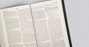 ESV Thinline Bible, Red Letter (Bonded Leather, Black),New