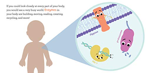 Baby Biochemist: Enzymes (Baby University)