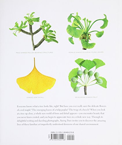 Seeing Trees: Discover the Extraordinary Secrets of Everyday Trees (Seeing Series),New
