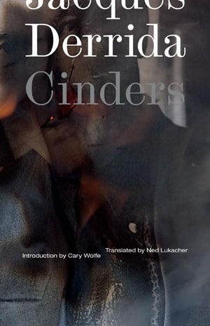 Cinders (Volume 28) (Posthumanities)