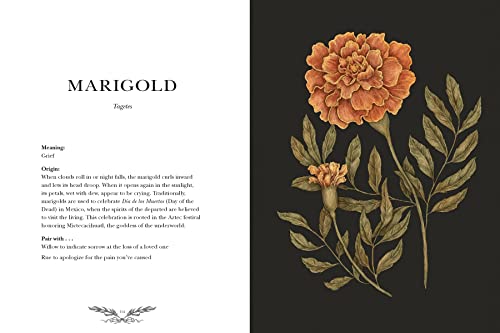Floriography: An Illustrated Guide to the Victorian Language of Flowers (Volume 1) (Hidden Languages),Used
