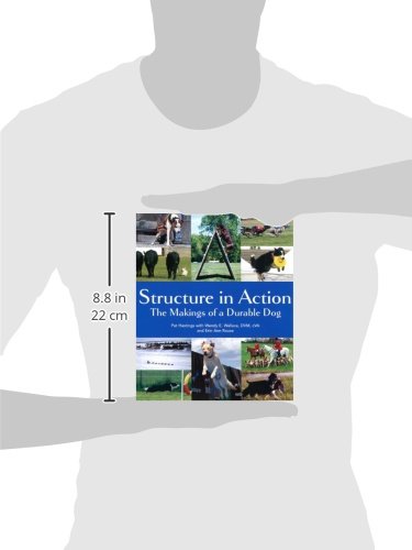 Structure In Action: The Makings Of A Durable Dog,Used
