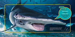 Just Joking Sidesplitters,Used