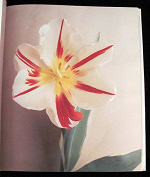 Tulipa: A Photographer's Botanical,New