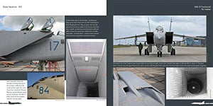 MiG31 Foxhound: Aircraft in Detail (Duke Hawkins),Used