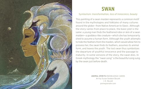 Animal Spirits Knowledge Cards : Paintings By Susan Seddon Boulet,New