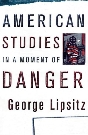 American Studies In A Moment Of Danger (Critical American Studies),New