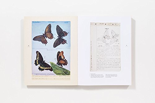 The Butterflies of North America: Titian Peale's Lost Manuscript,New
