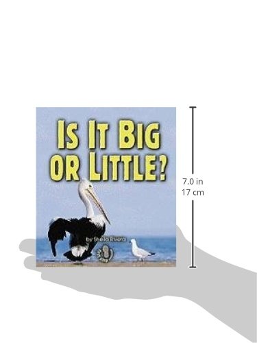 Is It Big or Little? (First Step Nonfiction  Properties of Matter),Used