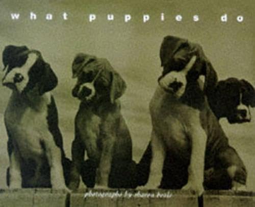 What Puppies Do,Used