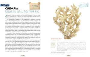Cabinet Of Curiosities: Collecting And Understanding The Wonders Of The Natural World