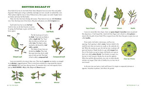 The Tree Book for Kids and Their GrownUps,Used