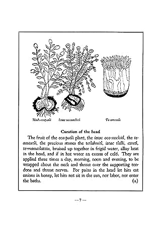 An Aztec Herbal: The Classic Codex Of 1552,New