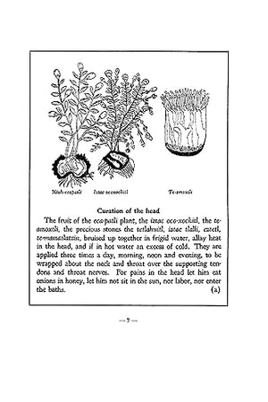 An Aztec Herbal: The Classic Codex of 1552,Used