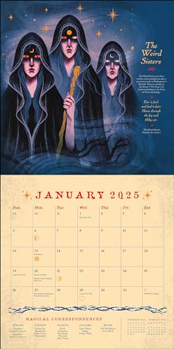 Witches Through History 2025 Wall Calendar,Used