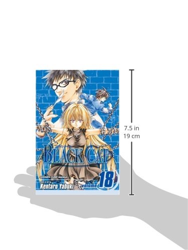 Black Cat, Vol. 18,Used