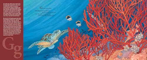 A Is For Aloha: A Hawai'I Alphabet,Used