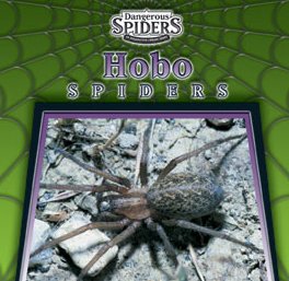 Hobo Spiders (Dangerous Spiders),Used