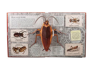 Bugs: A Stunning Popup Look at Insects, Spiders, and Other CreepyCrawlies,New