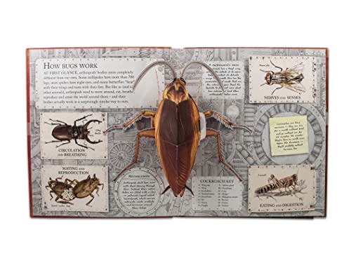 Bugs: A Stunning Popup Look at Insects, Spiders, and Other CreepyCrawlies,Used