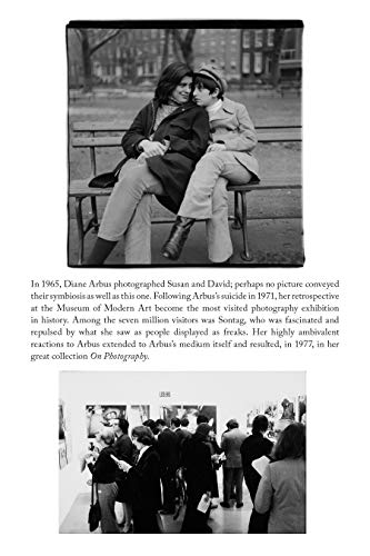 Sontag: Her Life And Work,New