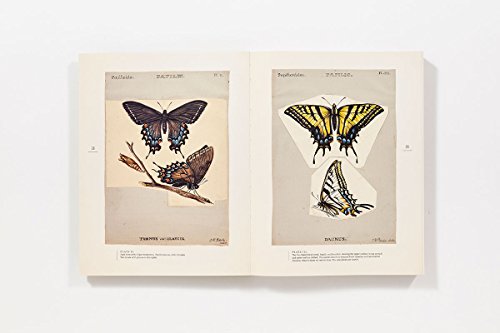 The Butterflies of North America: Titian Peale's Lost Manuscript,New
