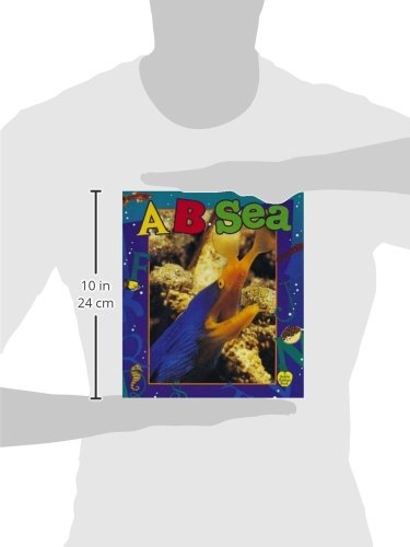 A...B...Sea (Crabapples),Used