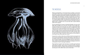 Art Forms from the Abyss: Ernst Haeckel's Images From The HMS Challenger Expedition,Used