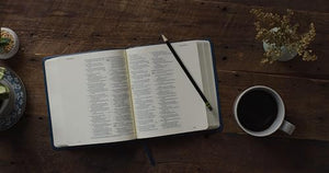 ESV Journaling Bible (TruTone, Deep Teal, Fleurdelis Design),Used