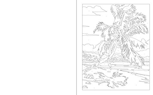 Landscape Color By Numbers