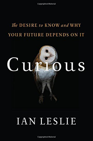 Curious: The Desire To Know And Why Your Future Depends On It,Used