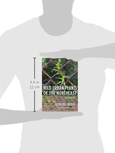 Wild Urban Plants Of The Northeast: A Field Guide,Used