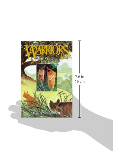 Rising Storm (Warriors, Book 4),Used