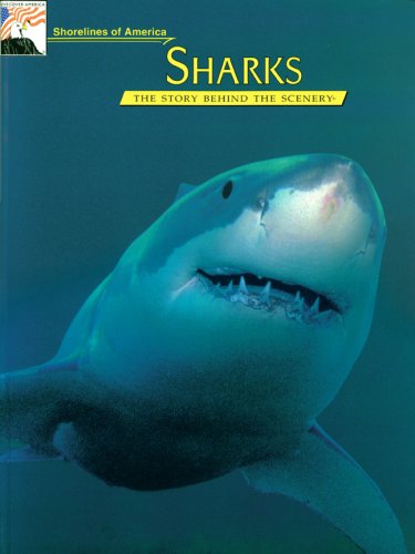 Sharks, Shorelines of America: The Story Behind the Scenery,Used