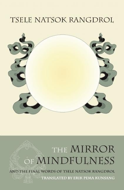 The Mirror of Mindfulness,New