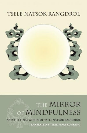 The Mirror of Mindfulness,Used